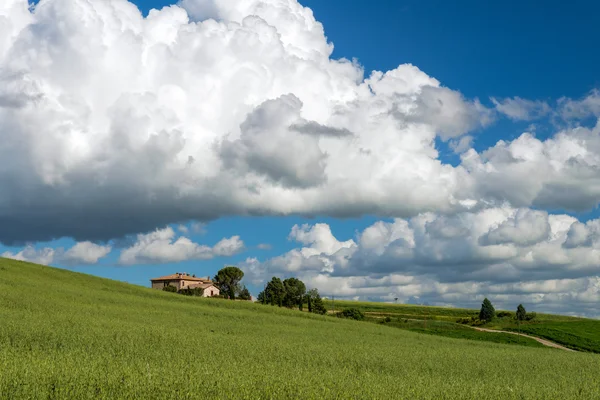 Campos agrícolas en Val d 'Orcia Toscana —  Fotos de Stock