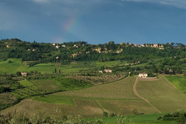 Toscaanse platteland — Stockfoto