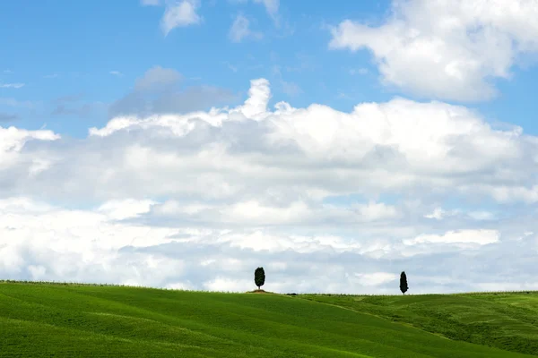 Blick auf die malerische Landschaft der Toskana — Stockfoto