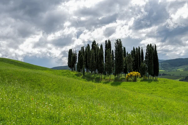 Pohled na malebnou toskánskou krajinu — Stock fotografie