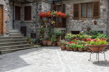 çiçekler'ndeki radicofani ev dışında çok sayıda