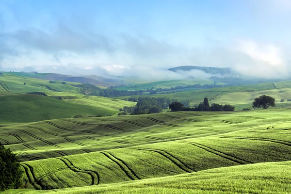 Rolling hills of Val d'Orcia Tuscany — Stock Photo, Image