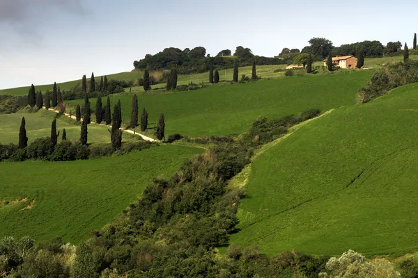 Paisaje Val d 'Orcia Toscana —  Fotos de Stock