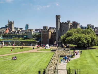 cardiff castle gounds