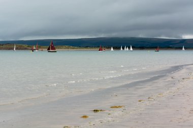 torridge ve taw Haliç yelken