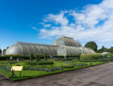 kew Gardens Palm house