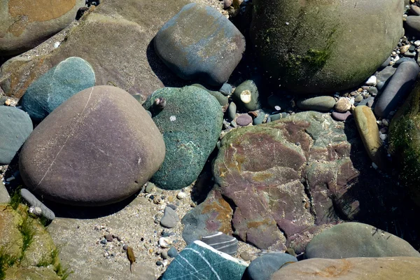 Gekleurde stenen in een zoutwaterbad op budeкольорові камені в басейн з морською водою в місті bude — Stockfoto