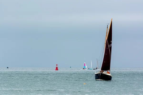 Voile dans l'estuaire de Torridge et Taw — Photo