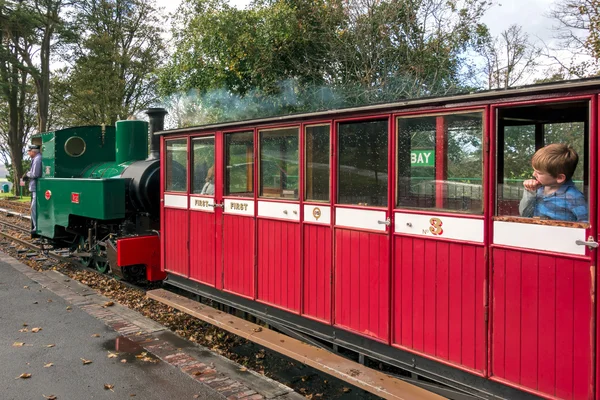 Lynton e Barnstaple Steam Railway — Fotografia de Stock