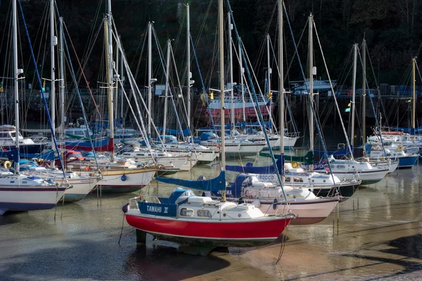 Ilfracombe harbour — Stock Photo, Image