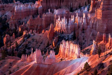 Bryce Canyon Güney Utah ABD doğal görünümünü