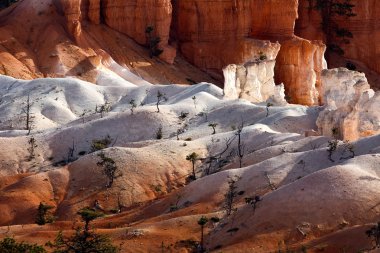 Bryce Canyon Güney Utah ABD doğal görünümünü