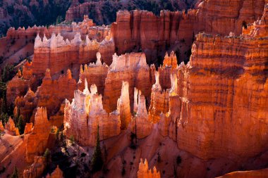 Bryce Canyon Güney Utah ABD doğal görünümünü