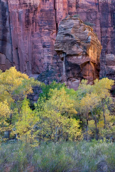 Piulpit rock — Stock fotografie