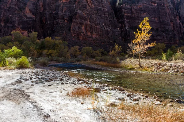 Zion National Park Utah — Stock Photo, Image