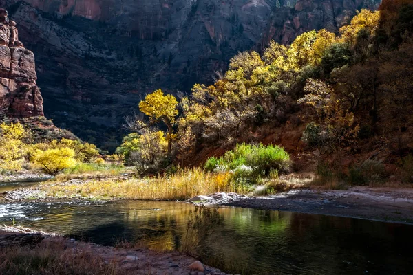 Parco nazionale dello Utah di Zion — Foto Stock