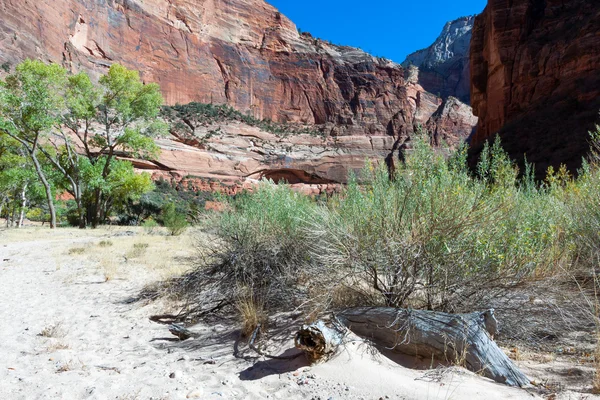 Parc national de Zion Utah — Photo