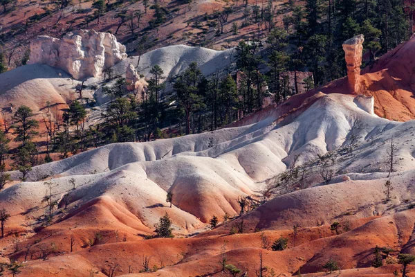 Foothills of Bryce Canyon — Stock Photo, Image