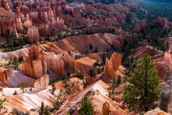 Vista panorâmica de Bryce Canyon Southern Utah EUA — Fotografia de Stock