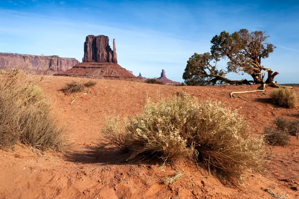 Festői kilátással a monument valley utah Amerikai Egyesült Államok — Stock Fotó