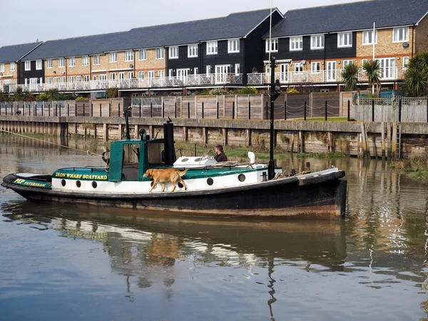 Small tug towing Cambria Thames sailing barge in Faversham Kent on March 29, 2014. Unidentified man. — Stock Photo, Image