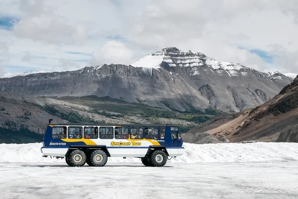 Snow coach på glaciären athabasca — Stockfoto