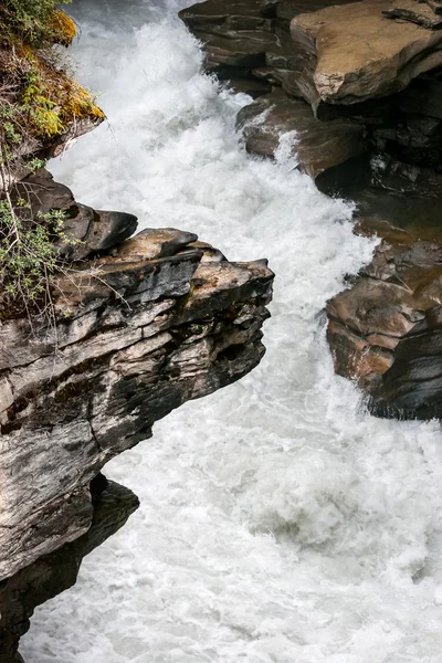 Correntes no rio Athabasca no Parque Nacional Jasper — Fotografia de Stock