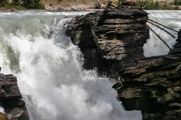 Rapide sul fiume Athabasca nel Parco Nazionale Jasper — Foto Stock