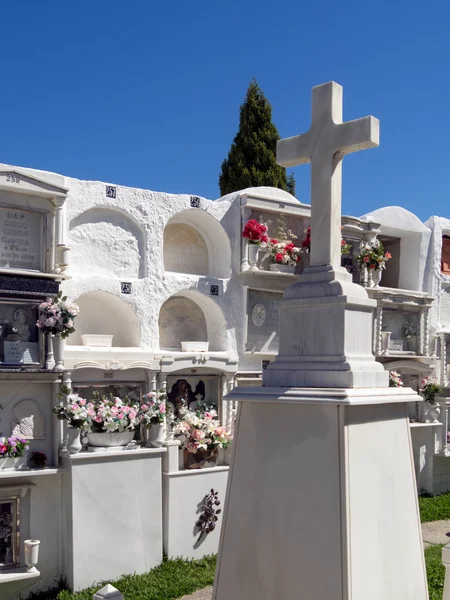 Görünüm mezarlık casares, İspanya — Stok fotoğraf