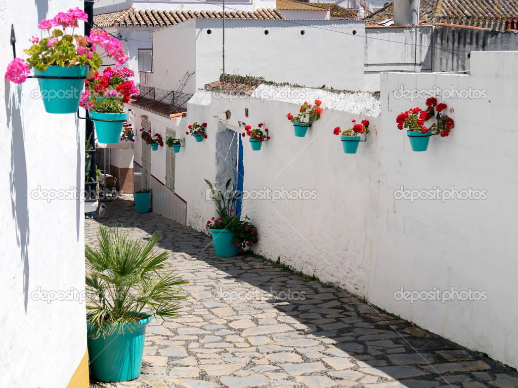 Flowers in a street  in Estepona Spain