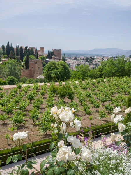 Visa från alhambra palace gardens — Stockfoto