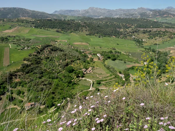 Vista do campo de Ronda Espanha — Fotografia de Stock