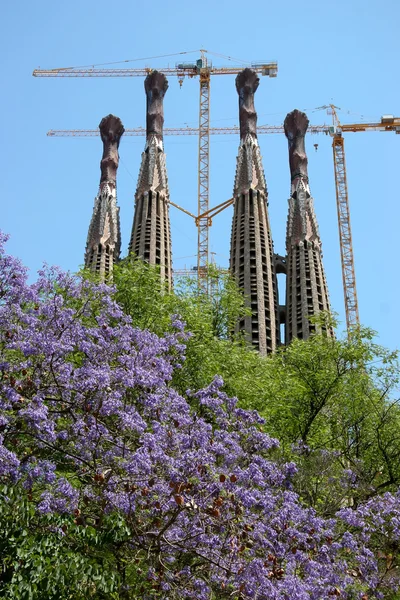 La Sagrada Familia  in Barcelona — Stock Photo, Image