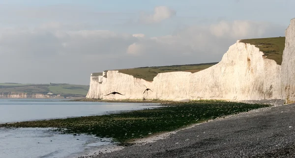 Widok z Birling Gap — Zdjęcie stockowe