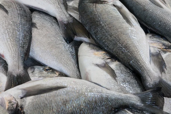 Peixes à venda no mercado da Madeira — Fotografia de Stock