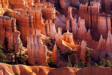 Bryce Canyon Güney Utah ABD doğal görünümünü