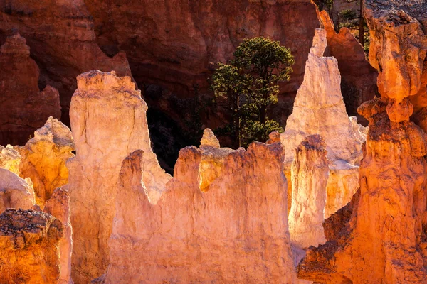 Malebný pohled na Bryce Canyon Jižní Utah Usa — Stock fotografie