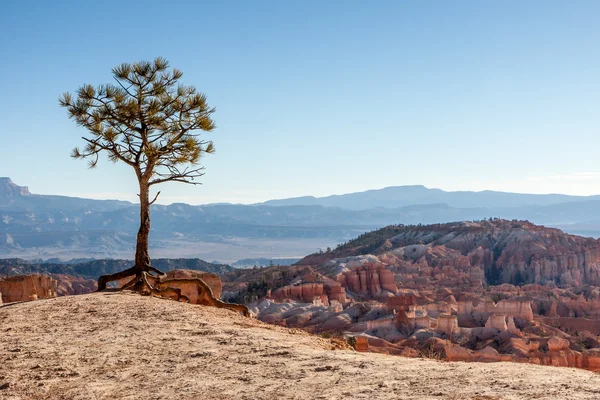 Scenic view of Bryce Canyon Southern Utah USA — Stock Photo, Image