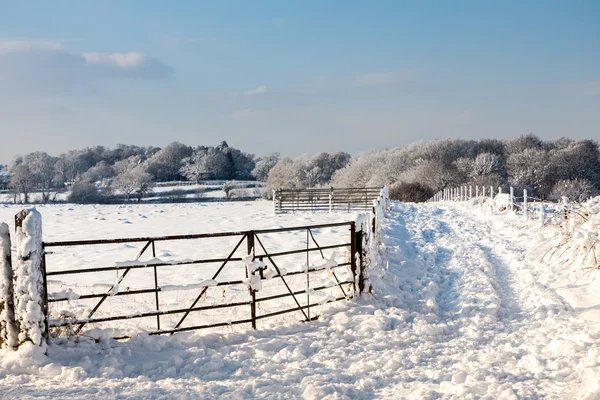 East grinstead kış sahne — Stok fotoğraf