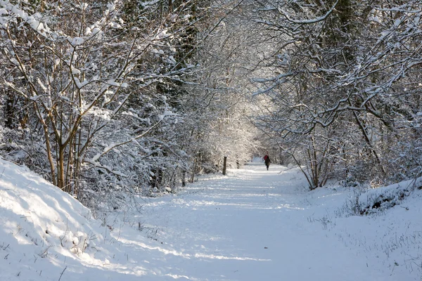 East grinstead kış sahne — Stok fotoğraf