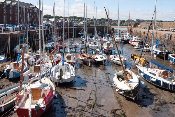 Crowded harbour in North Berwick — Stock Photo, Image