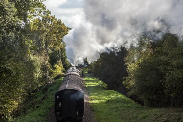 Festival of Steam at the Bluebell Railway 2010 — Stock Photo, Image