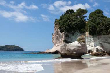 Cathedral Cove beach near Hahei in New Zealand clipart