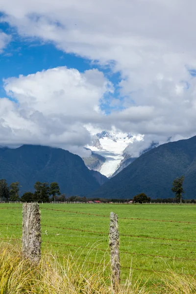 Fox Glacier in Westland Tai Poutini National Park — Stock Photo, Image