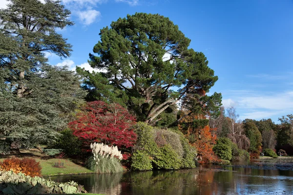 Ogrodów park Sheffield — Zdjęcie stockowe