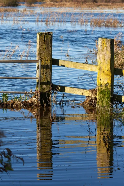 イーリー近く浸水した土地 — ストック写真