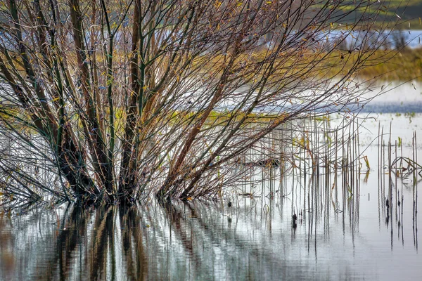 Terra allagata vicino a Ely — Foto Stock