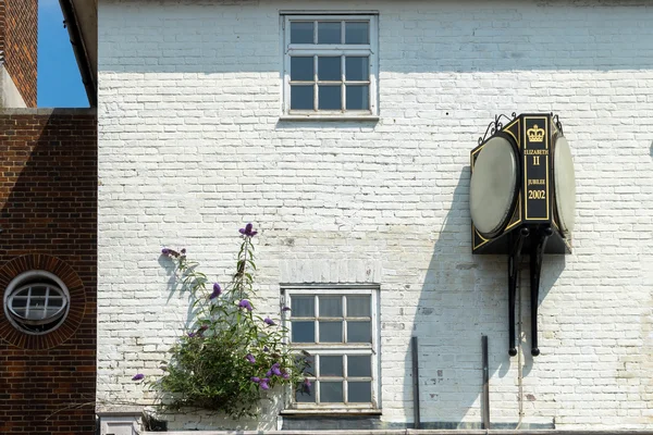 Buddleia vokser ut av en vegg i East Grinstead – stockfoto