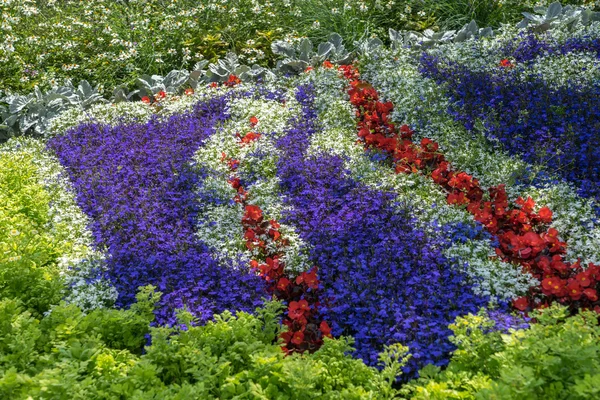 East Grinstead in Bloom — Stock Photo, Image