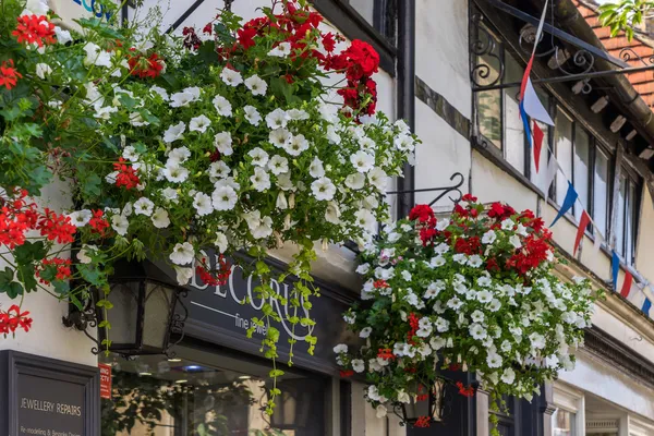 East Grinstead in Bloom — Stock Photo, Image